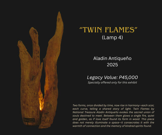 TWIN FLAMES
